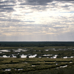 Etang de Cousseau et Lacanau
